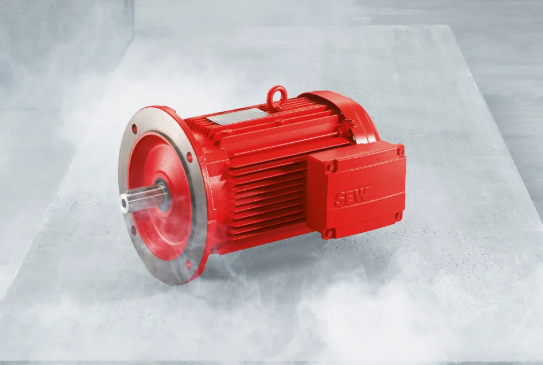 Explosion-protected motors