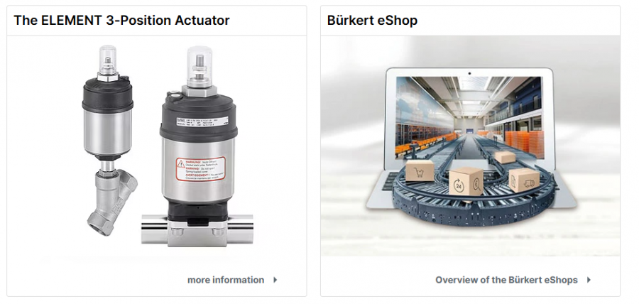 Process and Control Valves
