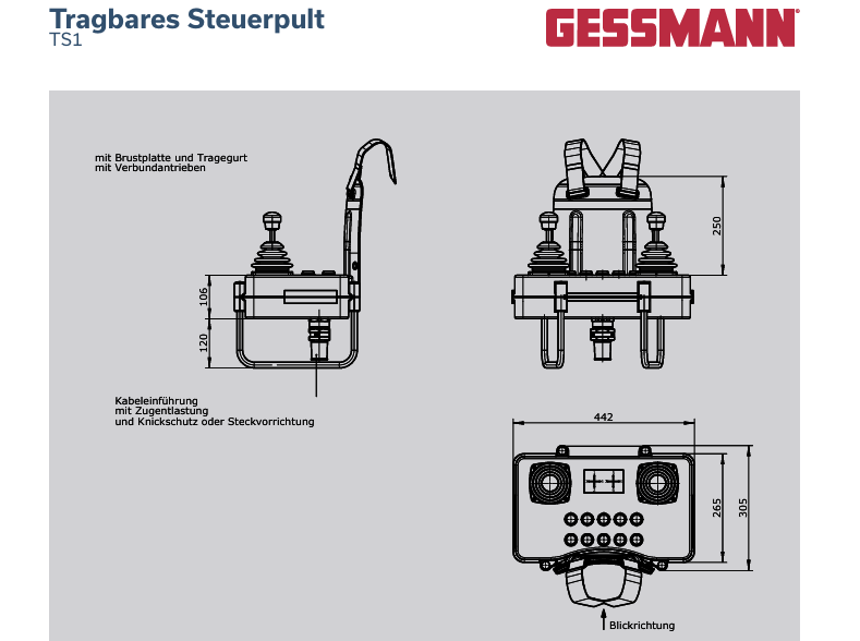 PORTABLE CONTROL UNITS