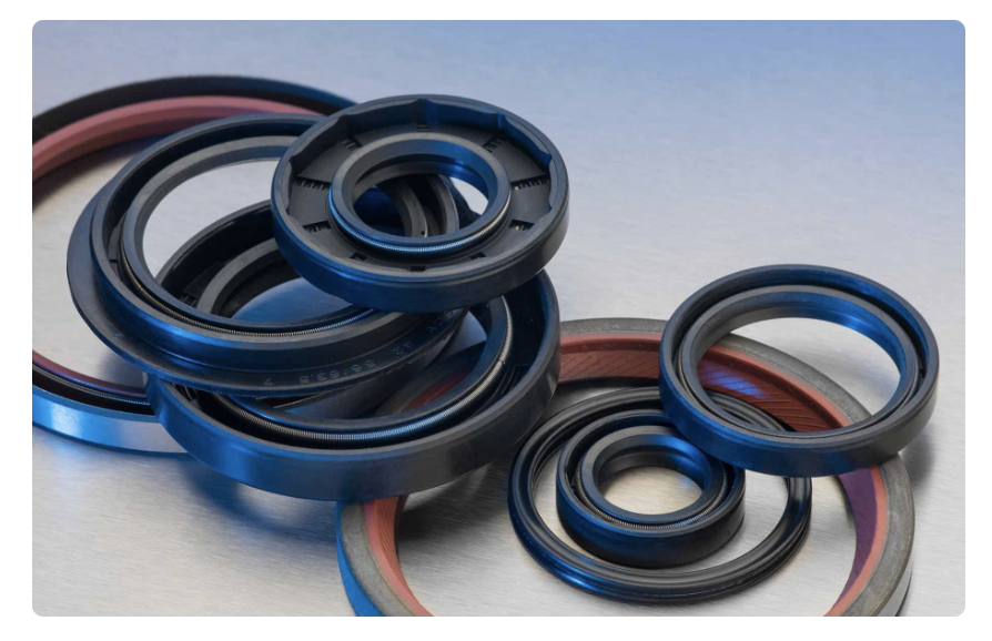 Oil Seal