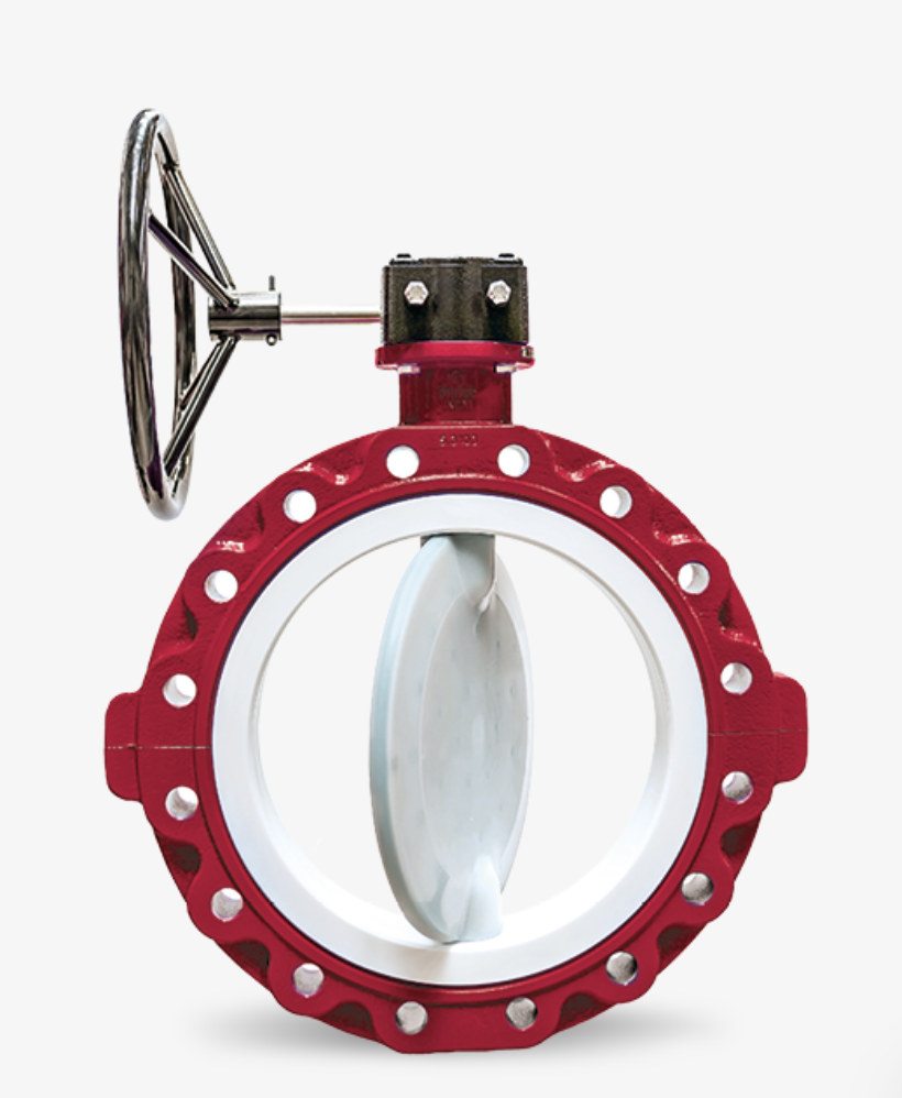 BUTTERFLY VALVE CHEMFLYER | CST
