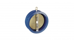 DC check valve